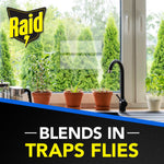 Kitchen window scene with potted plants on the sill and a subtle rectangular strip suggesting a blended-in window trap.