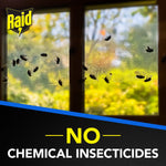 Close-up of a window covered in trapped flies with a blurred outdoor view and Raid logo in the corner.