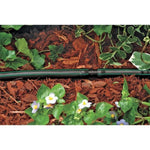 Black irrigation tubing with green stripe connected by a coupler, laid on mulch among groundcover plants and flowers.