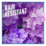 Close-up photo of purple hydrangea blooms with water droplets and 'Rain Resistant' headline