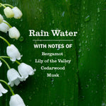 Green leafy background with water droplets and white lily-of-the-valley flowers with text listing Rain Water scent notes.