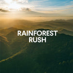 Scenic aerial landscape of forested hills at sunrise with the words 'Rainforest Rush' centered over the image