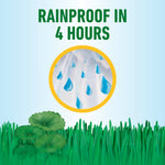 Illustration of raindrops inside a circled vignette with text 'Rainproof in 4 hours' above grass and weed graphics.