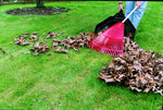 Outdoor scene of a red rake sweeping a pile of brown leaves toward a black utility dust pan on grass