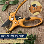 Orange ratchet pruning shears displayed on wood background with callout inset showing close-up of mechanism and label 'Ratchet Mechanism'