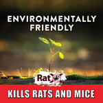 Close-up of a small sprouting plant over blurred background with RatX logo and the headline environmentally friendly