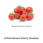 Pile of ripe red heirloom cherry tomatoes on a white background with minimal text labeling beneath