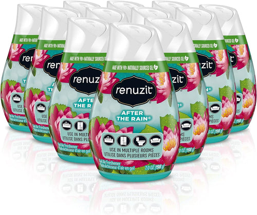 Cluster of Renuzit After The Rain gel air fresheners arranged in a reflected multipack style on white background.