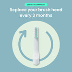 Quip brush head centered on a circular background with text advising to replace your brush head every 3 months.