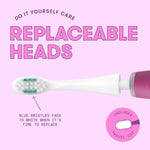 Close-up of a replaceable white brush head attached to a fuchsia handle, with text explaining blue bristles fade to indicate replacement time.
