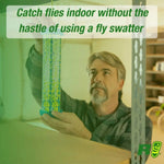 Lifestyle image showing a person hanging a RESCUE! TrapStik indoors with green overlay text reading 'Catch flies indoor without the hastle of using a fly swatter'