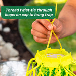 Close-up of hands threading a yellow twist-tie through the loops on the TrapStik cap to prepare for hanging