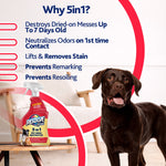 Text list of 5-in-1 benefits with Resolve Pet bottle and a brown dog in a living room setting