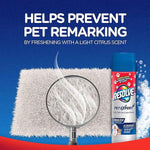 Resolve Pet Expert can next to a magnified carpet patch graphic and headline about preventing pet remarking with a light citrus scent