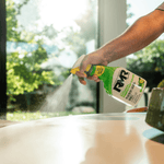 Hand holding and spraying an RMR Botanical Disinfectant bottle across a table, visible mist and sunlit window scene in the background.