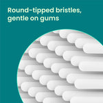 Close-up macro-style graphic of rounded white bristles under heading about round-tipped bristles gentle on gums