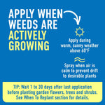 Blue advisory panel instructing to apply when weeds are actively growing with tips about temperature and spray conditions