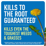 Blue label graphic reading 'Kills to the root guaranteed' with a dandelion flower and leaf accent