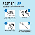 Instructional diagram on light blue background showing four steps to assemble and use the Pump 'N Go sprayer