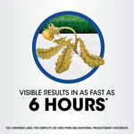 Circular illustration of a wilted dandelion on pavement with bold text below reading “VISIBLE RESULTS IN AS FAST AS 6 HOURS.”
