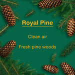 Graphic panel with pine cones and evergreen sprigs and text 'Royal Pine' and descriptive phrases on green background