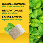 Informational graphic showing a sachet and mint leaves with text highlights: clean & humane, ready-to-use, long lasting