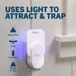 Plug-in Safer Home fly trap mounted in an outlet with blue LED glow and icons for house flies, gnats, and fruit flies
