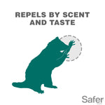 Illustration of a raccoon sniffing with text 'Repels by scent and taste' in a Safer Brand style infographic