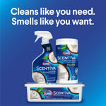Product grouping image of Clorox Scentiva spray bottle, wipes canister and wet refills with headline 'Cleans like you need. Smells like you want.'