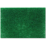 Close-up flat view of a single green commercial heavy-duty scouring pad showing fibrous texture