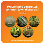 Orange infographic circles showing examples of lawn diseases like brown patch, mildew, rust, leafspot, and red thread
