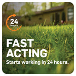 Grass close-up with text and icon stating fast acting, starts working in 24 hours against lawn disease