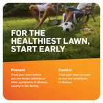 Outdoor lifestyle image with family scene on lawn and headline encouraging early treatment for the healthiest lawn