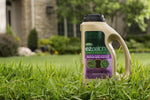 Scotts EZ Patch gold jug placed in foreground on a lawn with a house blurred in the background