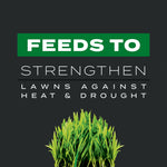 Graphic panel stating 'Feeds to Strengthen' above an illustration of healthy lawn grass