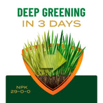 Illustration of grass transformation shield with text 'Deep Greening in 3 Days' and NPK 29-0-0 label