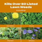 Grid of four weed photos labeled 'Kills Over 50 Listed Lawn Weeds' showing dandelion, clover, plantain and chicory