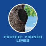Circular close-up of a tree limb cut sealed with black pruning compound on a blue background with 'Protect Pruned Limbs' text