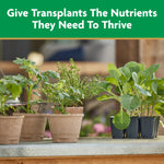 Potted seedlings and young plants on a bench beneath a green banner reading ‘Give Transplants The Nutrients They Need To Thrive’