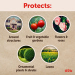 Infographic showing five circular photos and text listing areas protected: structures, gardens, flowers, shrubs and lawns.