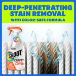 SHOUT carpet cleaner bottle beside graphic of carpet fibers with arrows showing deep-penetrating stain removal