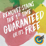 Colorful painted background infographic reading “Removes stains the 1st time guaranteed or it's free” with Shout logo
