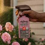 Hand holding and spraying a pink Shubug 3in1 plant spray bottle toward blooming pink roses outdoors.
