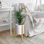 Single light wood plant stand holding a white textured pot with a green plant beside an armchair and side table