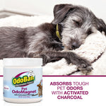 Sleeping gray dog on a blanket with an OdoBan Pet OdoMagnet jar and text callout about absorbing tough pet odors.