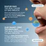 Infographic showing sulfur gas cause of bad breath and Smart-Zinc technology with a partial open mouth graphic