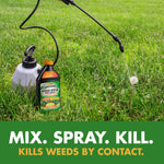 Product bottle and garden sprayer sitting in a lawn with a spray wand aimed at a dandelion and bold text below