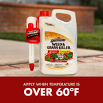 Spectracide Weed & Grass Killer jug with AccuShot sprayer photographed outdoors on a paved surface with blurred lawn and brick wall background.