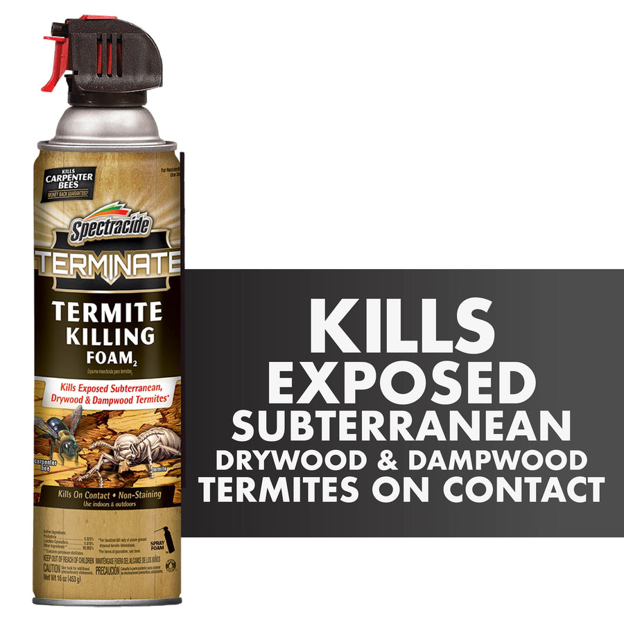 Spectracide Terminate termite killing foam aerosol can next to bold text reading 'Kills Exposed Subterranean Drywood & Dampwood Termites'.