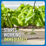 Close-up photo of sprayer wand misting a small weed on pavement with 'Starts working immediately' caption